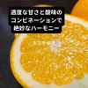 　河内晩かん　和のグレープフルーツ