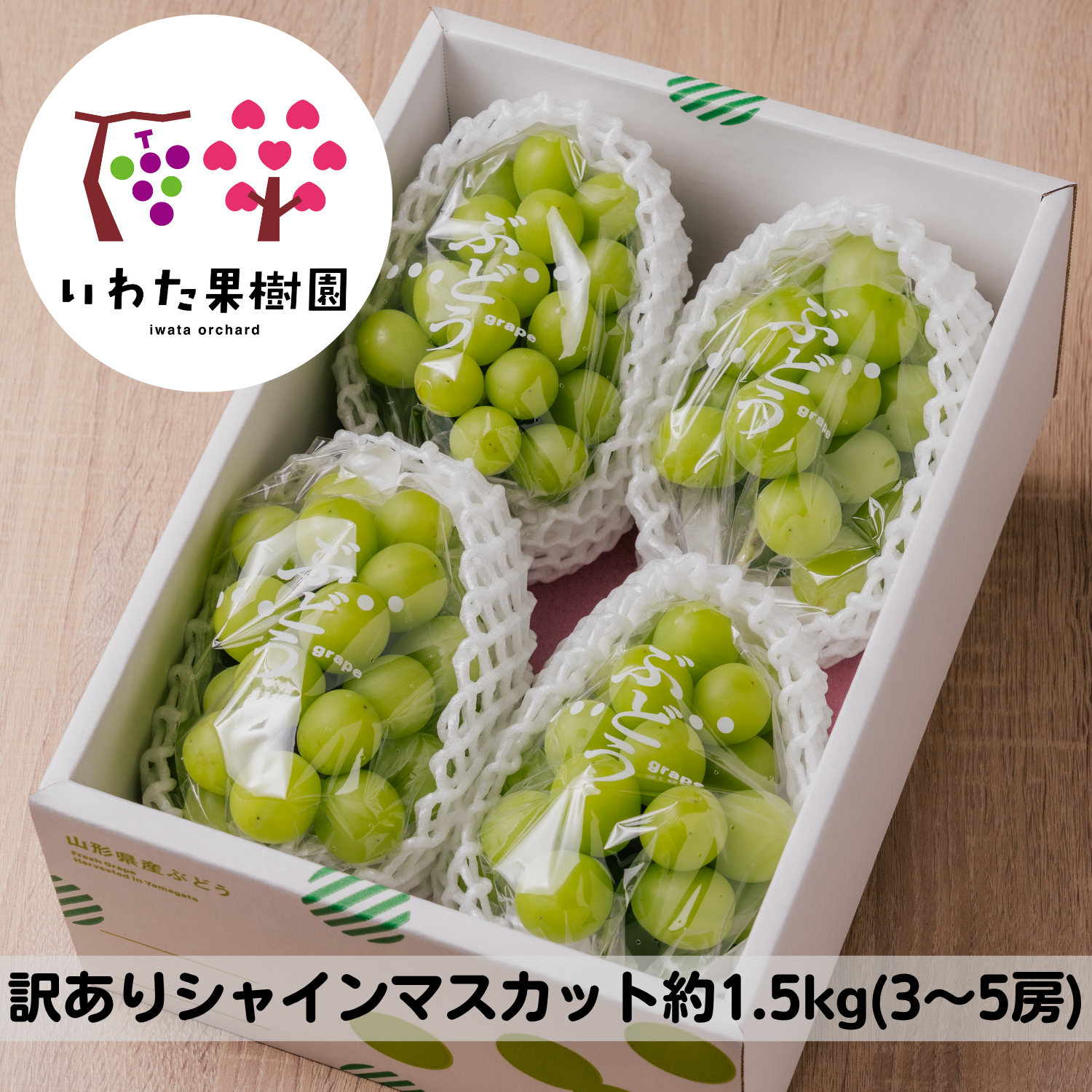 9月中旬発送／山形県高畠町産【家庭用】シャインマスカット約1.5kg