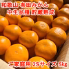 【ご家庭用・中生品種・２Ｓサイズ】和歌山有田産みかん≪5㎏≫　★１月７日以降発送
