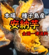 【種子島産】安納芋紅1.1kg 完熟！ねっとり！【お試し用】