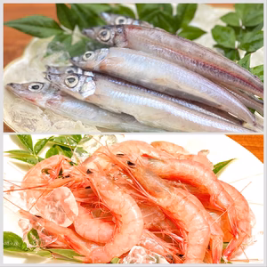 料理の新発見ができる大メギスと刺身でも丸ごと食べても美味しいトロえび中小