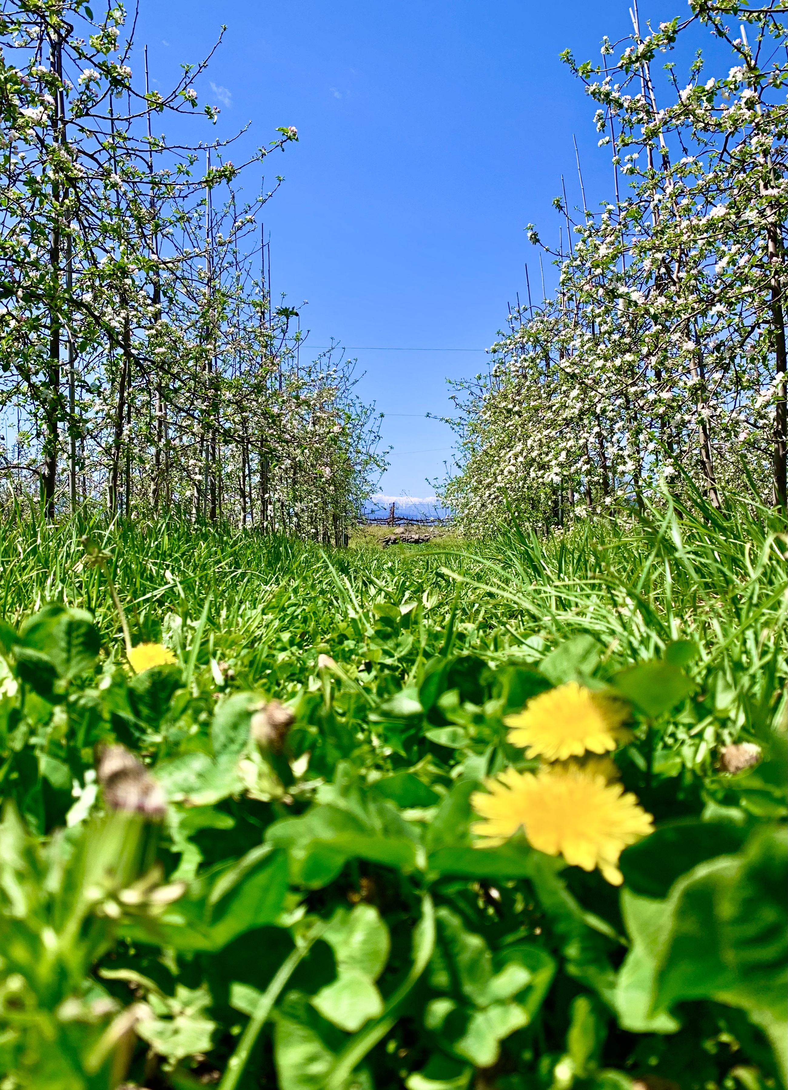 漁船の操舵席って 最高にクールだ 5月前半の生産現場から 農家漁師から産地直送の通販 ポケットマルシェ