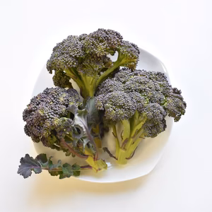 和らぎ農法　ブロッコリー　大