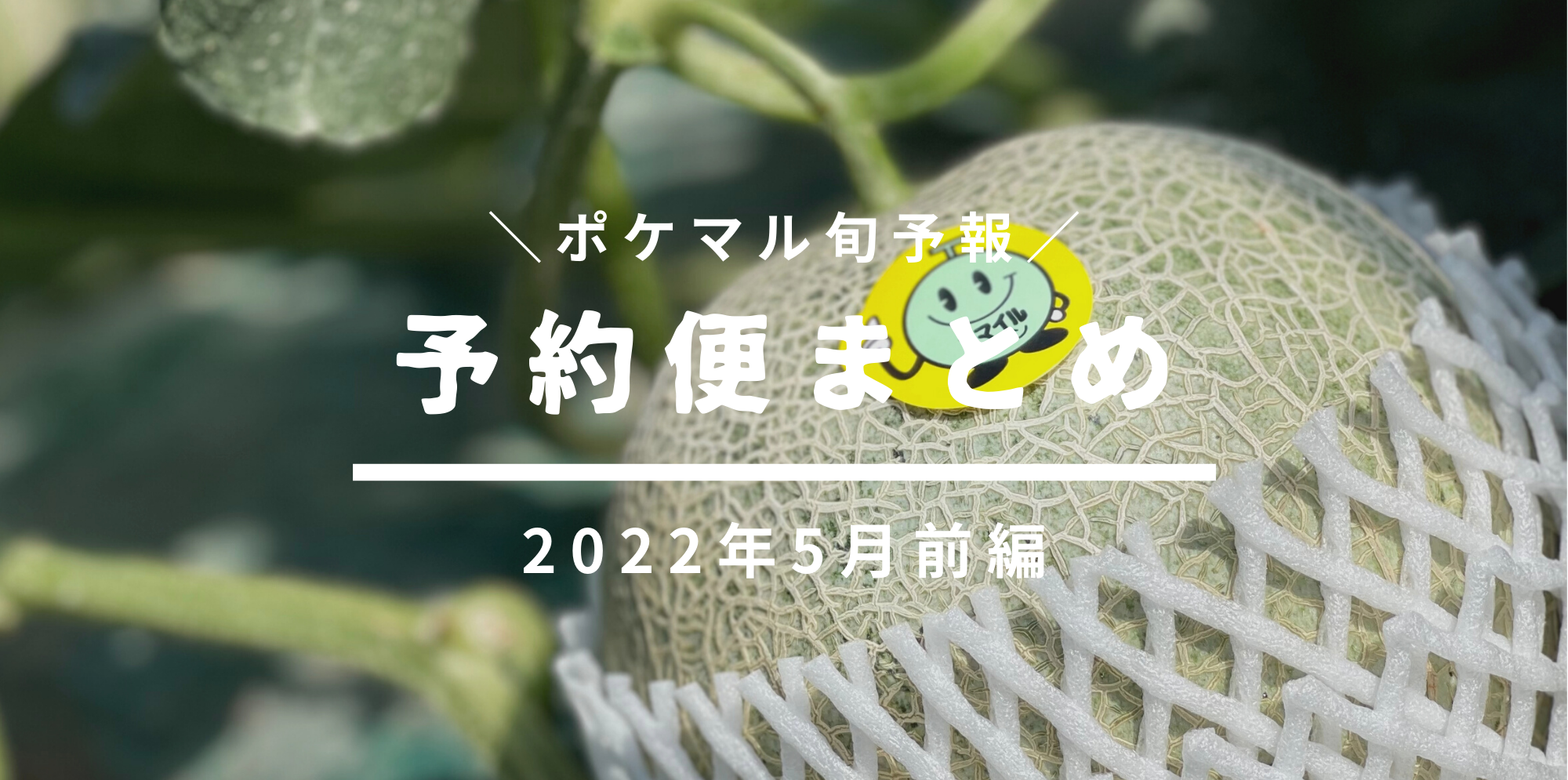 青森県津軽産 紅秀峰 ２l L 1箱300gバラ詰め 商品画像は500ｇ 2パックです 食