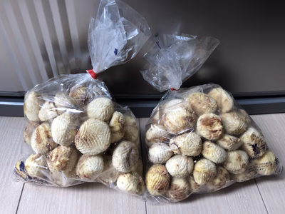 みんなの投稿の画像