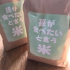 誠が食べたいと言う米　5キロ紙袋