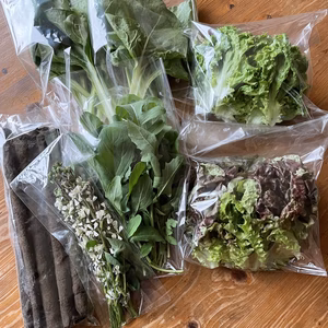 野菜ボックス　春