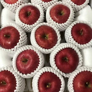 青森県産りんご「サンふじ」　贈答用 約5kg 2セット