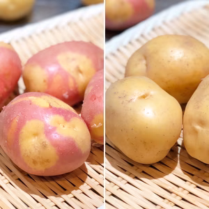 【小粒】インカのひとみ＆めざめ食べ比べセット