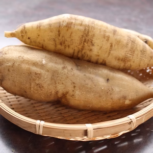 スーパーフード「ヤーコン」２kg