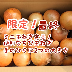 限定✨小玉ちゃん30個前後入り5キロ