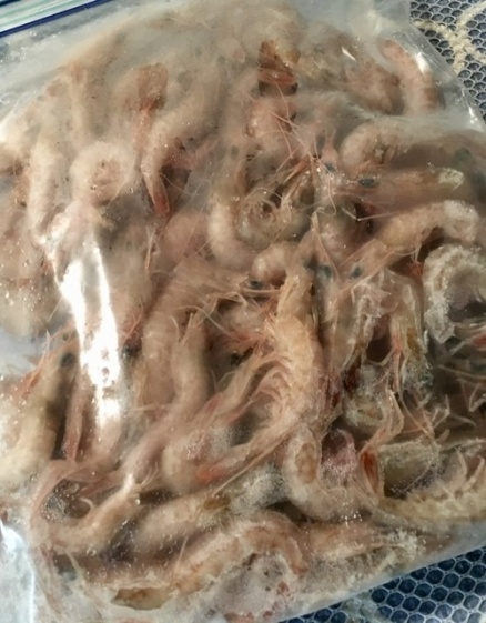 唐揚げ かき揚げに 雑賀崎漁港 じゃこえび 小 1kg 250g 4 農家漁師から産地直送の通販 ポケットマルシェ