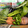  【旬の新鮮野菜】笑顔あふれる野菜BOX 7種類以上ボリュームパック