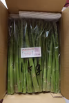 春芽アスパラガス　訳あり1kg