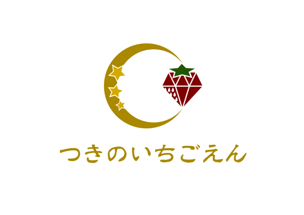 【6周年福袋】果汁あふれる極旨とちおとめ！朝採れ完熟★（３パック＋おまけ１パック