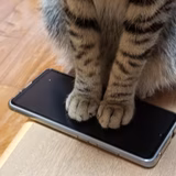 お福