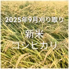 【令和7年新米】採れたてコシヒカリ5kg(玄米)