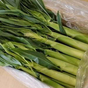 【6月下旬の発送】45～50本ひげ付きヤングコーン　クール便80サイズ箱