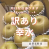 【食べごたえ抜群！】石川県産「加賀梨」サイズいろいろ！訳あり幸水