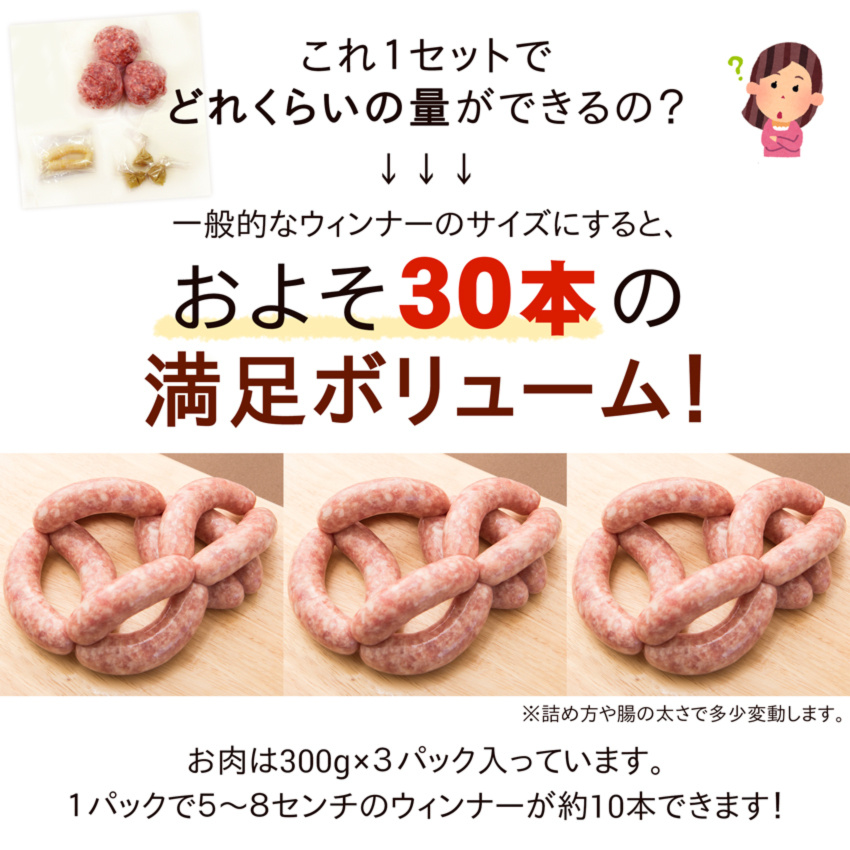 おうちでご当地体験 手作りウインナーキット 材料 しぼり袋 口金付 農家漁師から産地直送の通販 ポケットマルシェ
