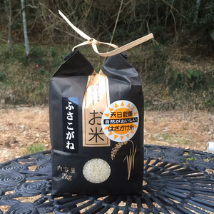 はざかけ天日干しのふさこがね