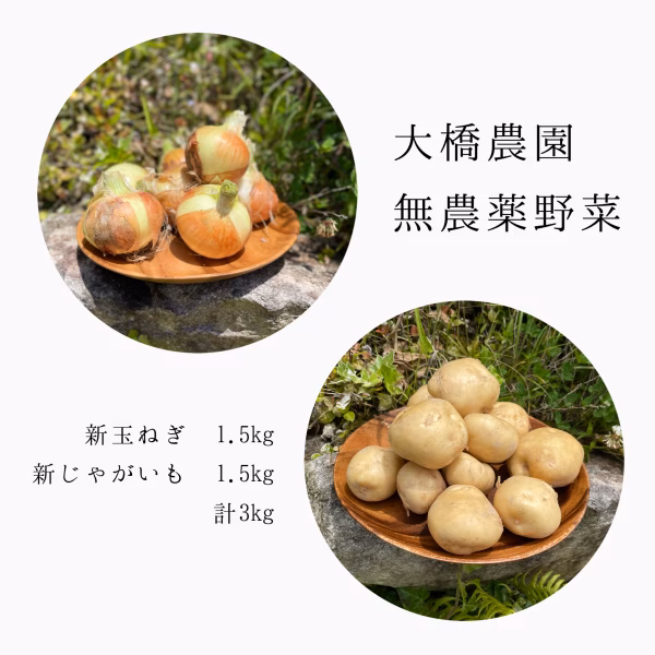 【無農薬】新じゃがいも(男爵)1.5㎏/新玉ねぎ1.5㎏