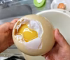 世界一大きな卵　　Ｓサイズ