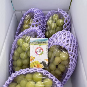 大人気の推奨希少品種❗️シャインマスカットを超えた完璧な美味しさに魅了❣️