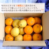 愛媛の旬のかんきつを詰め合わせ！バラエティセット 訳あり3kg