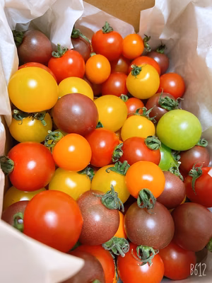 みんなの投稿の画像