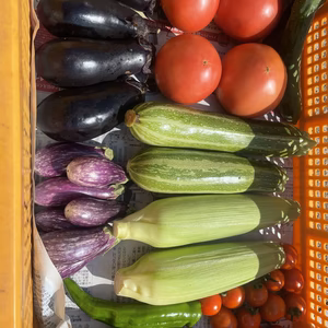 ケンの野菜セット　文月