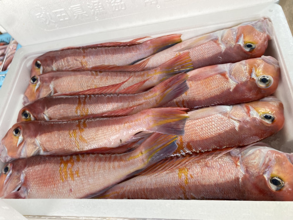 高級魚 天然甘鯛 農家漁師から産地直送の通販 ポケットマルシェ