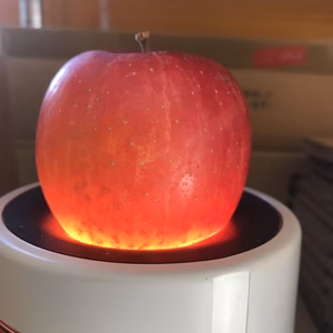 特別提供　家庭用　premiumパインアップルサンふじ　各 3キロ箱入り