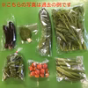 金曜日お届け　農薬不使用野菜セットSサイズ（6～7品）※税込