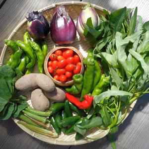 「里山のおすそわけ便（月2回）ー固定種や伝統野菜にこだわった無農薬野菜」