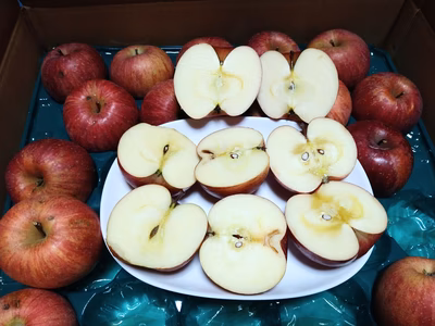 みんなの投稿の画像