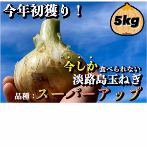 即出荷致します❗️淡路島新玉ねぎ✨　1日10箱限定❗️ 