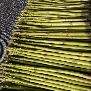 【さぬきのめざめ】本数たっぷり！Mサイズアスパラ