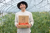 【全国送料無料】トマトベリー1kg+Nicoロッソ1kg