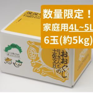 数量限定！家庭用【4-5kg6玉】おおぐしさんちの土佐文旦