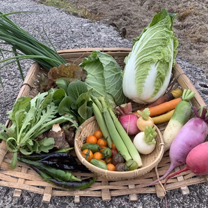 とれたて新鮮！おまかせ野菜セット