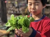 2019！ 信州彩り野菜セット