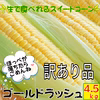 送料無料！ゴールドラッシュ4㎏～4.5㎏　20本前後