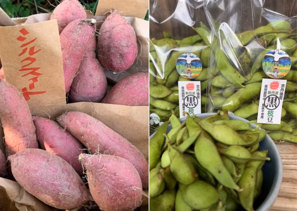 【実りの秋set】さつまいも紅はるか＆シルクスィート/新丹波黒枝豆　常温発送