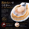 これが本物！漁師が喰うホタテ【3㎏】ヘラ付