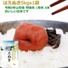 おいしいはえぬき5kg 特A米 1等米 無洗米 令和6年山形産 