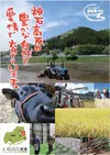 コシヒカリ玄米10kg クラフト袋入り 広島県神石高原町 令和4年産