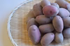 和らぎ農法　じゃがいも　春じゃがレッドムーン便