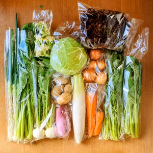 信州四賀より里山の旬野菜セット（農薬・化学肥料不使用）　選べる4サイズ