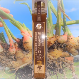 蒸し生姜シロップ濃味　―じゅんかん育ち生姜で作りました―　九州佐賀産